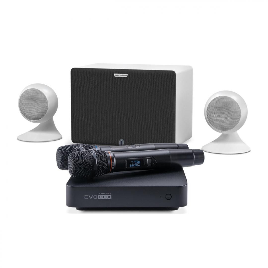 караоке-комплект EVOBOX Classic + EvoSound Sphere 2.1 в Смоленской области