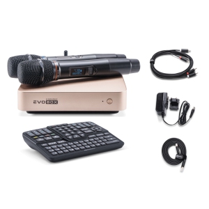 EVOBOX Classic караоке-система для дома в Смоленской области